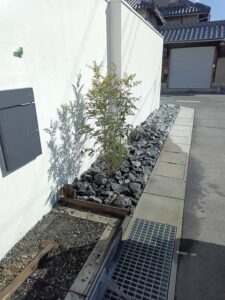 植木施工、シマトネリコ 令和建設、外構工事、エクステリア